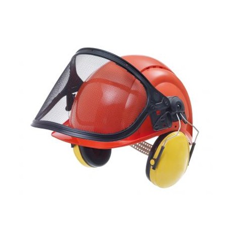 Forsthelmkombination